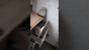 играем