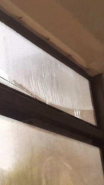 сауна в троллейбусе номер 5 Новосибирск смотреть онлайн