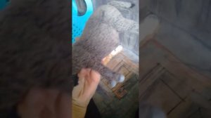 Мне подарили бракованные игрушки!?