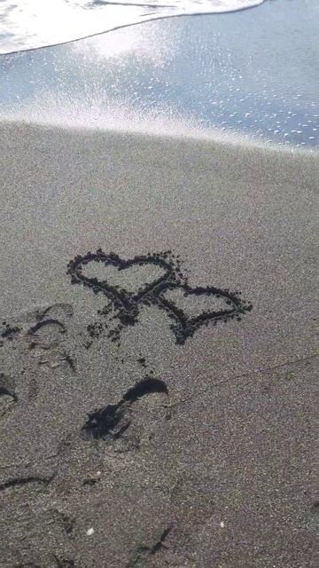 #море #чистоя #собаки #черноеморе #сочи #песок #гуляю смотреть онлайн