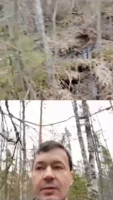 БОЛОТО ПИТАЕТ РУЧЕЙ МЕЛЬНИЧНЫЙ