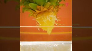 Как вырастить ананас из купленного в магазине