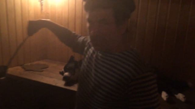 Собака в бане (Калаш парится)