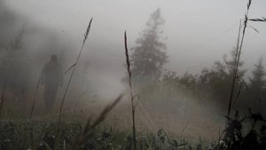 Стихи: "Туман, Побег"(Желонкин А. 2021г). Музыкальное сопровождение, анимации, видео.