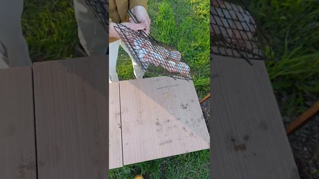 Обалденная картошка в беконе в белом соусе на мангале.