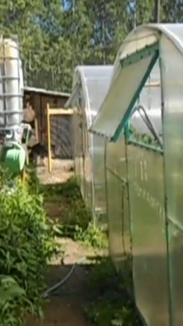 Теплица-Без Проблем.. смотреть онлайн