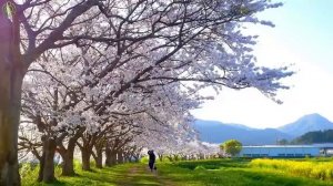 Отличная расслабляющая музыка для сердца и сосудов 🌿 Музыка лечит душу, снимает стресс #5