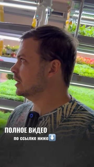 Влажность в подвале