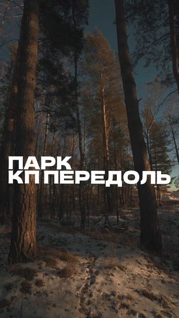 🏡 Прогулка по парку в КП «Передоль» – комфорт и приро