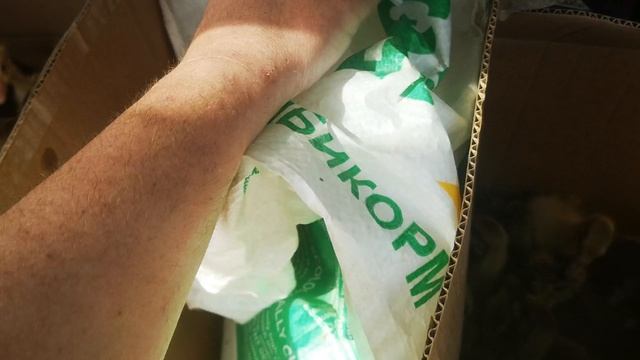 Видео когда я продавал первых гусят кстати использовал комбикорм стартовый Белгородский