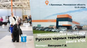 Моно КЧК, январь 2024г. Эксперт Баклушин