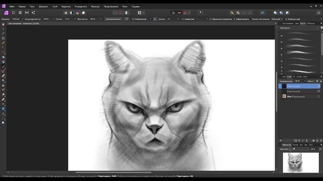 Рисуем кота, Draw a cat