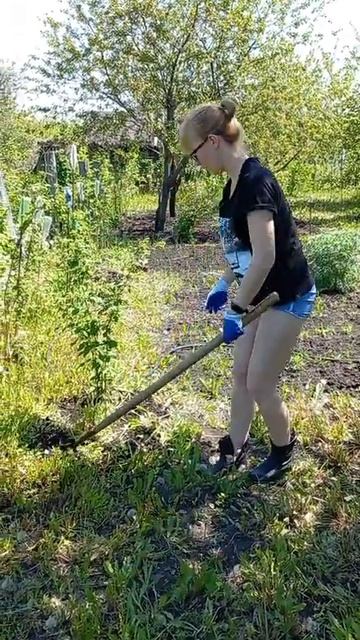Девочки на огороде🤟😎 смотреть онлайн