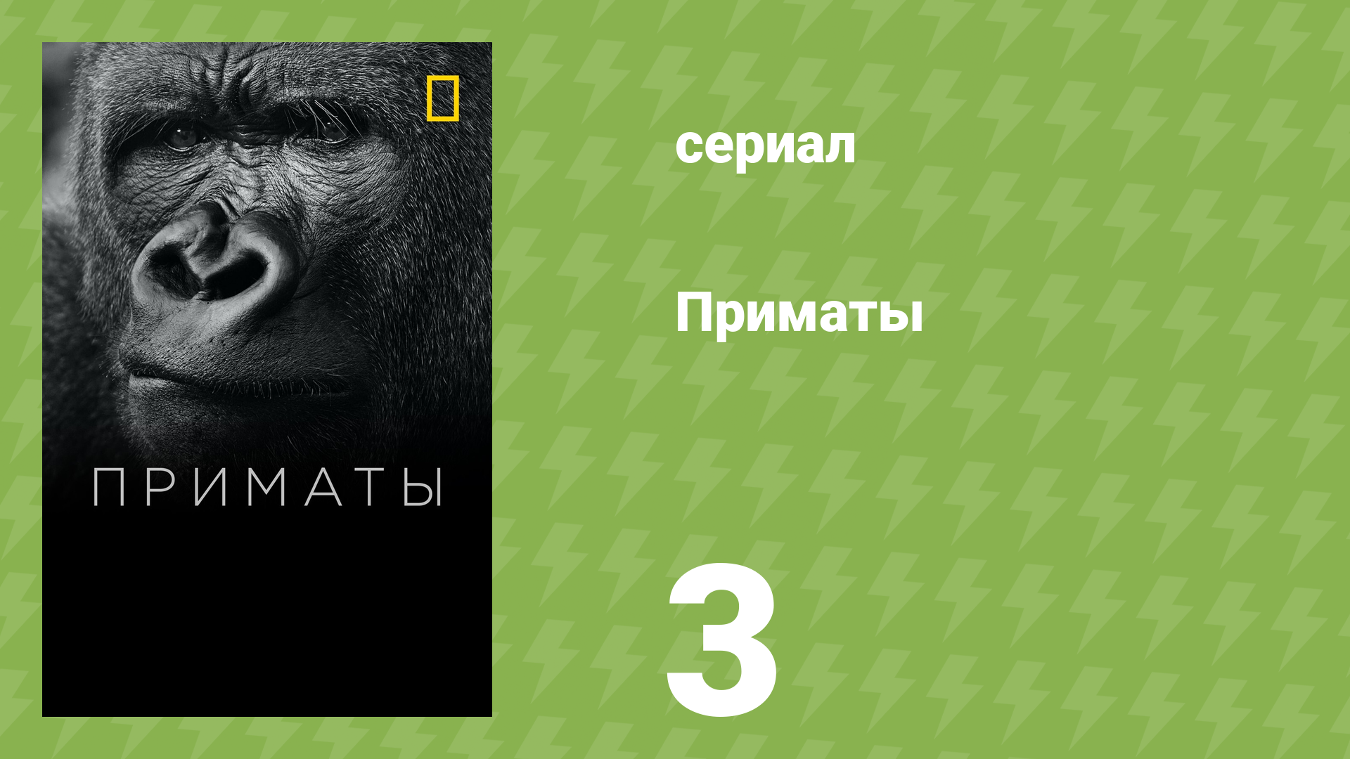 Приматы 3 серия «Защита приматов» (документальный сериал, 2020)