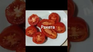 Детерминантные, низкорослые сорта томатов для теплиц