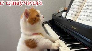 Приколы с котами! С ОЗВУЧКОЙ! Смешные КОТЫ И СОБАКИ! Смешные видео о животных! До слёз!