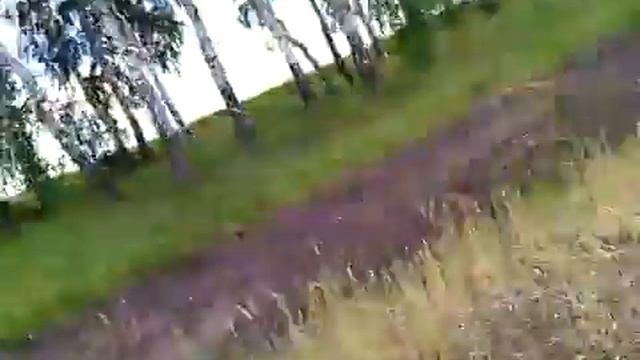 Побег из дома! №8 смотреть онлайн