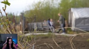 Владимир и шашлык 2024. Россия23 | РЕАКЦИЯ на Россия 23 | РЕ?