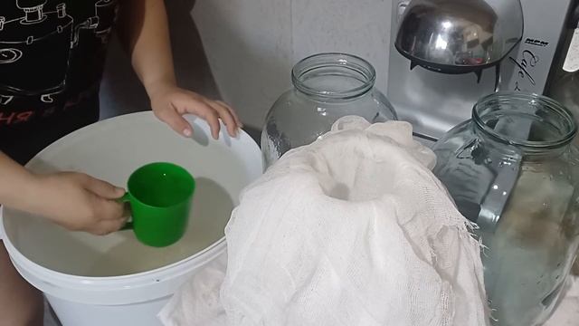Бульбачка на старте. Огурцы и помидоры уже переехали в