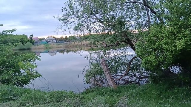 Деревня ,вечер в деревне квакают лягушки.
Хутор Черкессовский