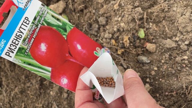 23 марта Начались посевы в Хавьеровской теплице / Минск смотреть онлайн