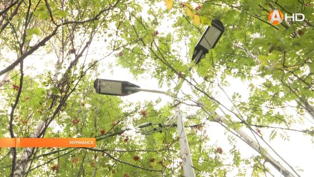 Автобус   посреди детской площадки HD720 смотреть онлайн