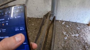 Умный курятник практически полностью на автономном у?