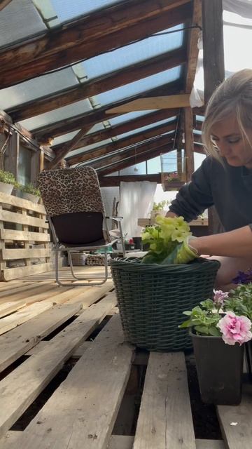 Переделала теплицу в мастерскую-чайный домик🙂#петун смотреть онлайн