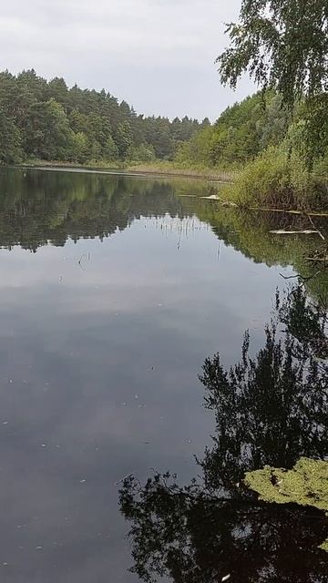 Озеро Горетое с.Селечня Суземского района Брянской об смотреть онлайн