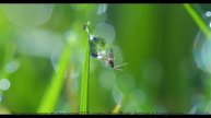 Пейзажи зажигаются в такт каждой новой мелодии - A Billion Years Ago -- The Special Pillow -- A Bill