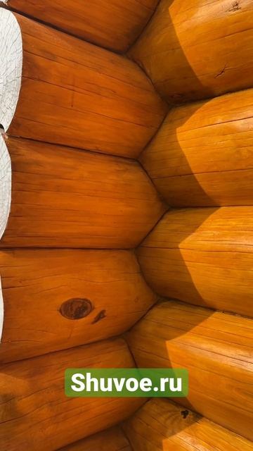 Сруб дома - контроль. смотреть онлайн