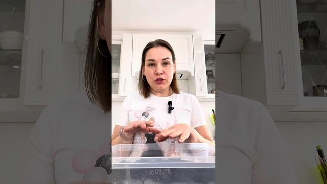 КОЛЬРАБИ - ВЫРАЩИВАЕМ ИЗ СЕМЯН
