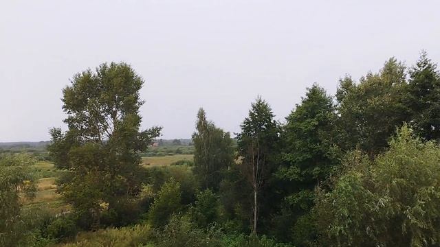 8 октября 2024, церковный календарь, Сергий Радонежский,
