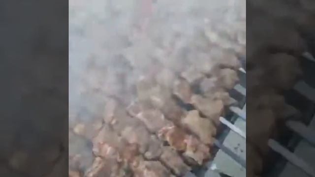 ПРОФЕССИОНАЛЬНЫЙ ШАШЛЫК ОТ МОЕГО ПАПЫ!! смотреть онлайн