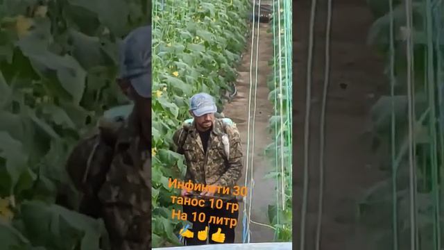 главное профилактика каждый 15 дней , и обязательно сни смотреть онлайн