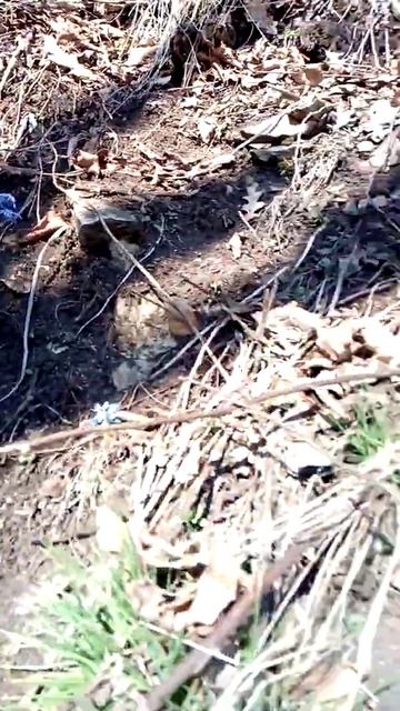 Пещера на горе Бештау 20210210 смотреть онлайн