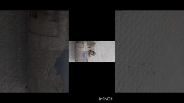 ивеко стралис стартер ,бендикс.mp4 смотреть онлайн