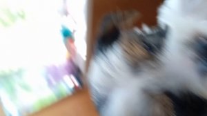 1000072699.mp4