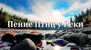 3 Часа Релаксации | Звуки Реки, Пение Птиц и Спокойная Музыка для Медитации и Сна 🌿🕊️🌿