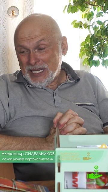 СЕМЕНА ХРАНЯТСЯ НЕ ВЕЧНО #садоводствосалександромсид смотреть онлайн