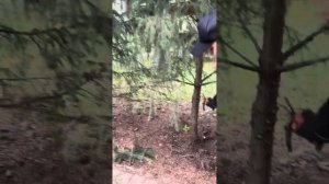 Шок контент, до конца❗️Вот почему нужно снимать мета?