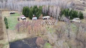 Пасека Пчела Алтая