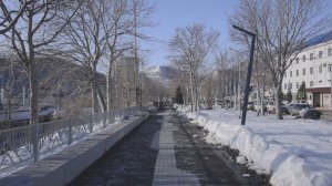 ПЕШЕХОДЫ, ВНИМАНИЕ!