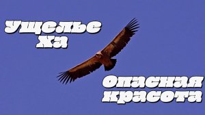 Ущелье Ха. Самое опасное ущелье Крита!!! Мой любимый Крит. Часть 14.