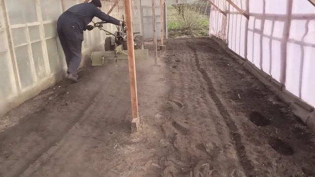 Начало сезона для мотоблока в теплице