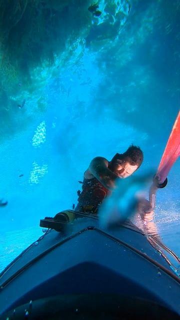 Посмеемся (578)