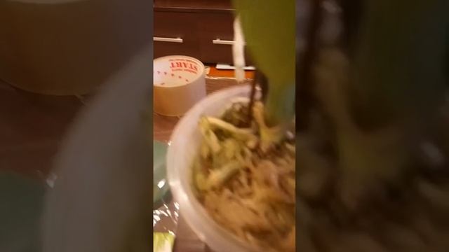 орхидея, новая покупка из Магнита. Необычная посадка.