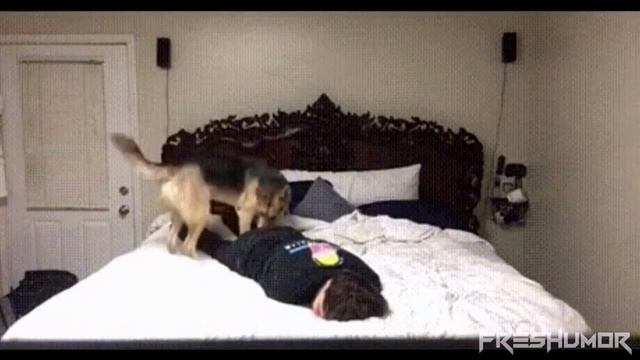 Приколы от Артема №57 смотреть онлайн