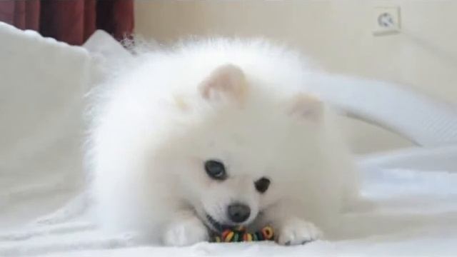 вязкаа смотреть онлайн