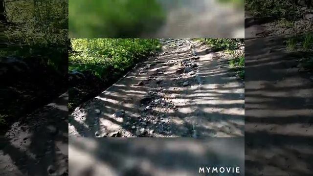 Изкачване на Витоша до м. Иглика. (. 9.5.2020.) смотреть онлайн